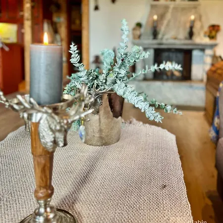 In-out Sauna, Fireplace And Views * 特吕西尔