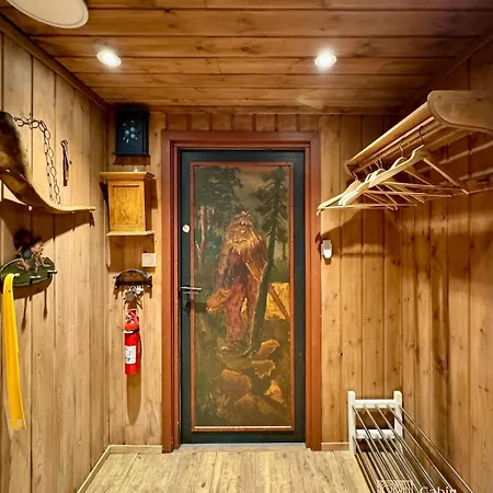 In-out Sauna, Fireplace And Views 特吕西尔